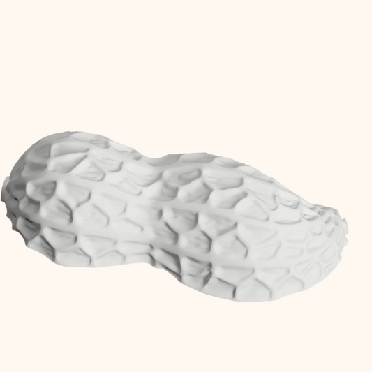 Arachide – in collaborazione con Maurizio Frau